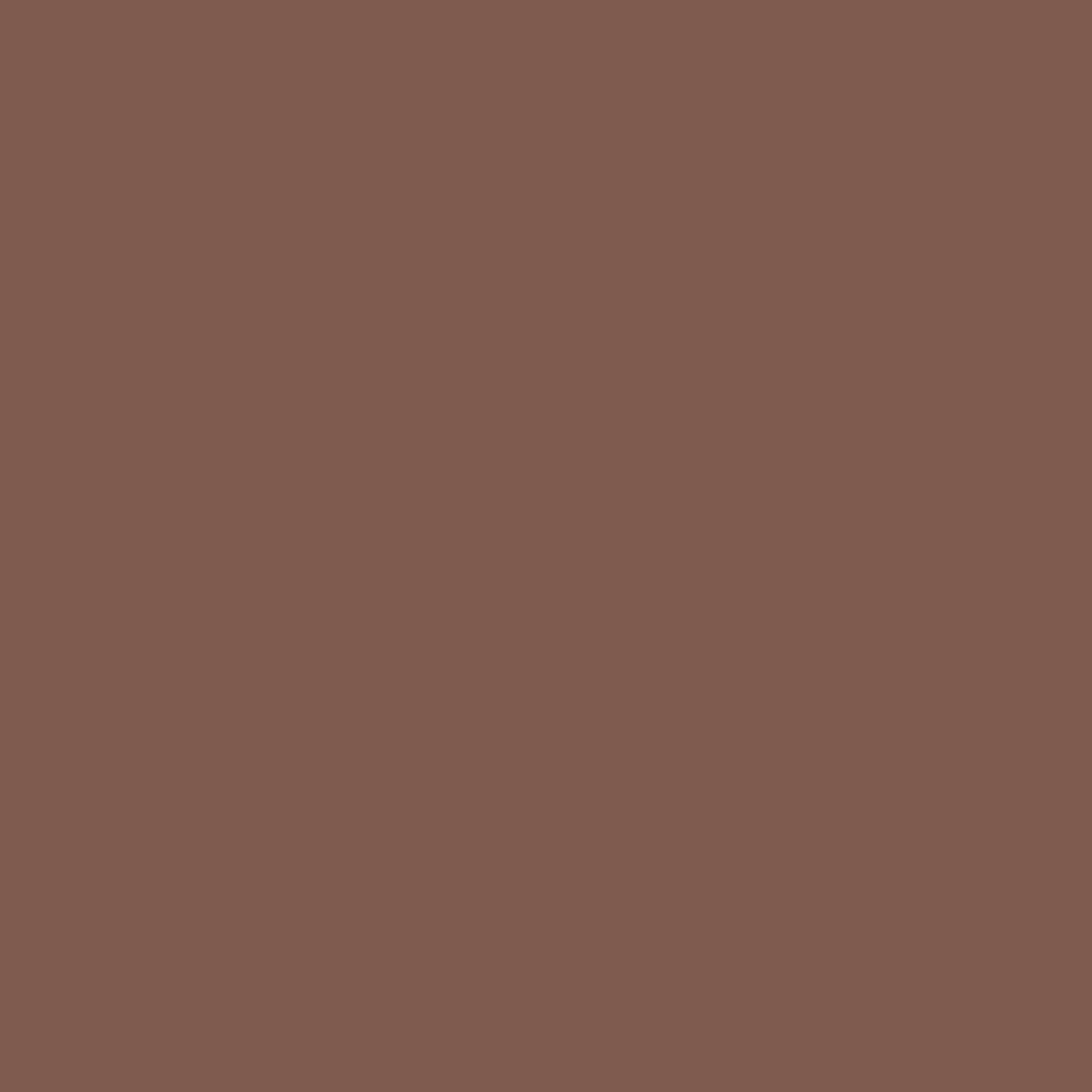 Colour Splash Food Colouring Gel - Dark Brown | Highly Concentrated Gel | 25 g