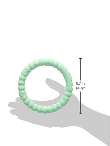 Rosewood Heavy Duty Nylon Chew Ring Toy - Mint Flavored | Large Dogs (20kg+) | 20cm 3