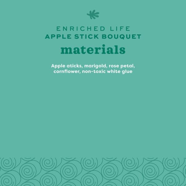 Oxbow Enriched Life Apple Stick Bouquet - Small Animal Chew Toy | Promotes Dental Health 7