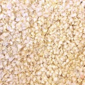 Wholefood Earth Organic Quinoa Flakes - 1 kg | GMO Free | Vegan | Source of Protein & Fibre 5