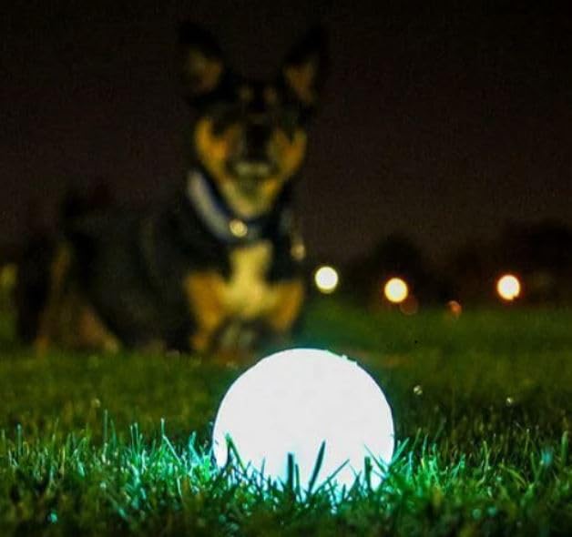 Chuckit! Max Glow Ball Medium 2 Pack - 6 cm Diameter Light Up Dog Toy