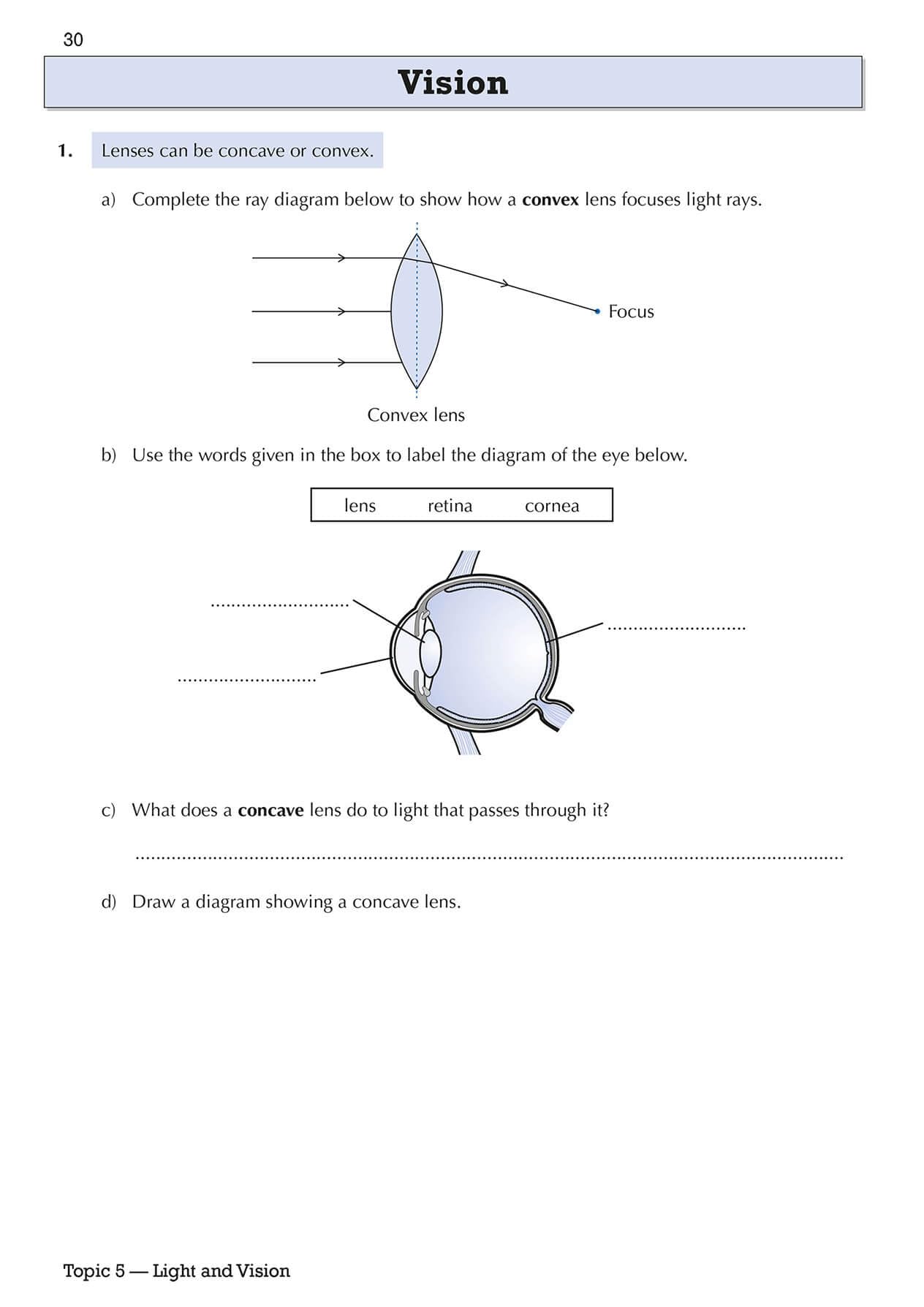 CGP KS3 Science Year 8 Targeted Workbook - Catch Up Support | Paperback | English 5