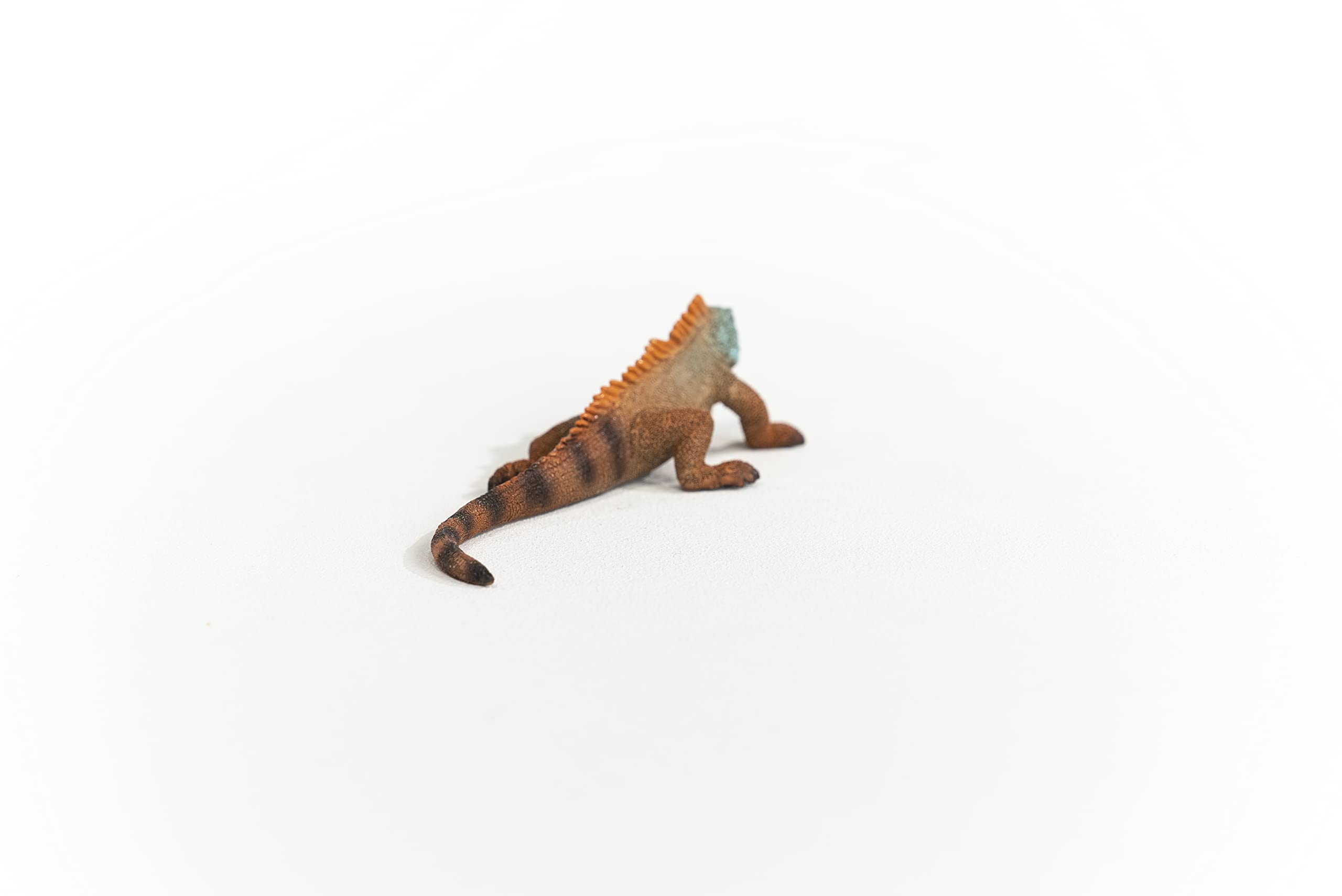 SCHLEICH Iguana Wildlife Figurine - Realistic Reptile Toy for Kids
