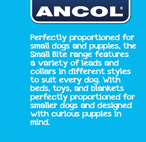 Ancol Small Bite Stars Collar & Lead Set Blue | Adjustable 20-30cm Collar | 1m Lead 4