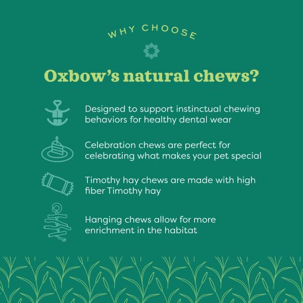 Oxbow Enriched Life Roll Arounds Small Animal Chew Toy | Natural Paper Material | Unscented 3