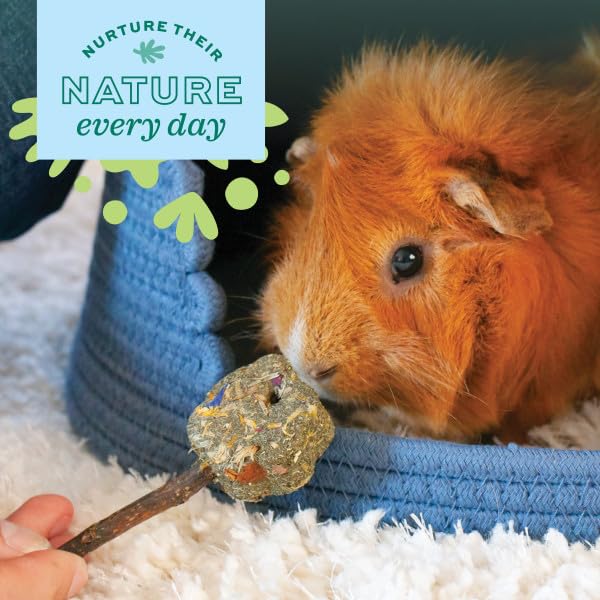 Oxbow Enriched Life Loco Ball - Small Animal Chew Toy for Rabbits & Guinea Pigs | Natural Fibres 4