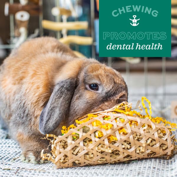 Oxbow Enriched Life Apple Stick Bouquet - Small Animal Chew Toy | Promotes Dental Health 4