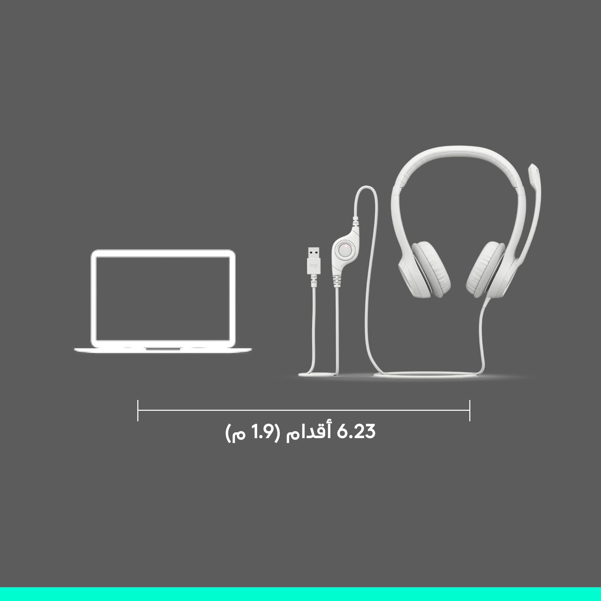 Logitech H390 Wired Headset for PC/Laptop - Digital Stereo Sound | Noise Cancelling Mic | USB-A 8