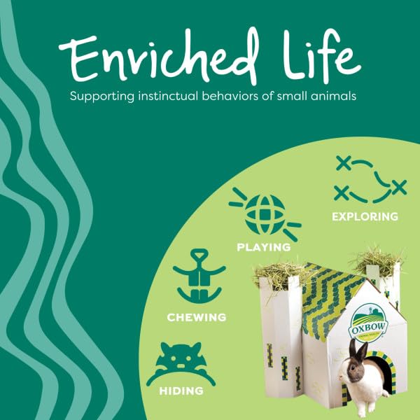 Oxbow Enriched Life Celebration Cupcake Chew Toy for Small Animals | Supports Dental Health & Mental Stimulation 4