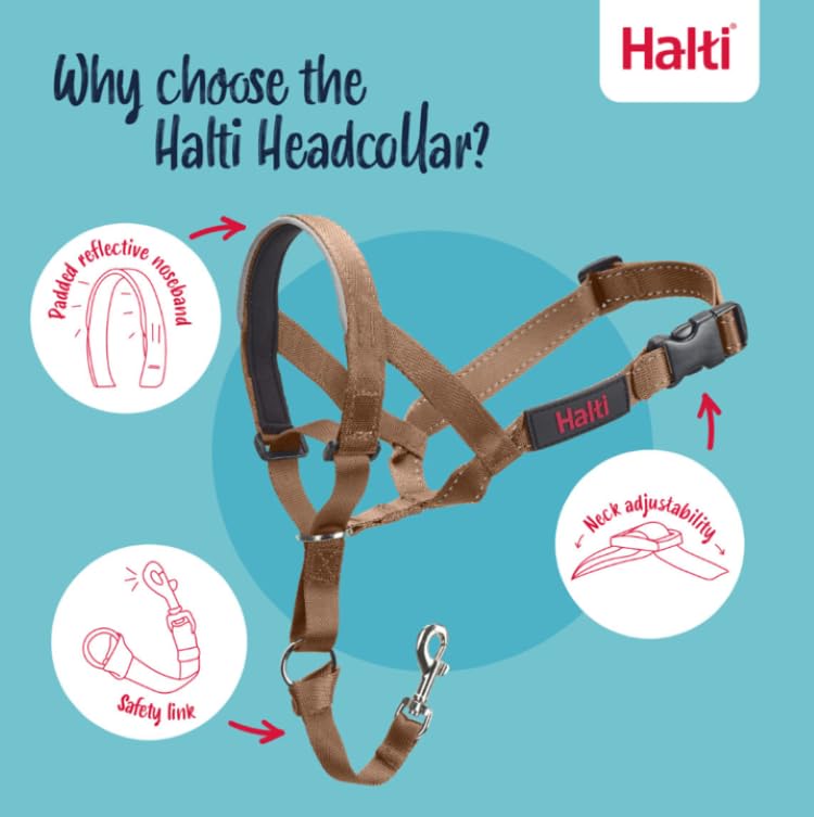 Halti Headcollar - Stop Pulling | Size 2 | Desert Sand | Reflective 3