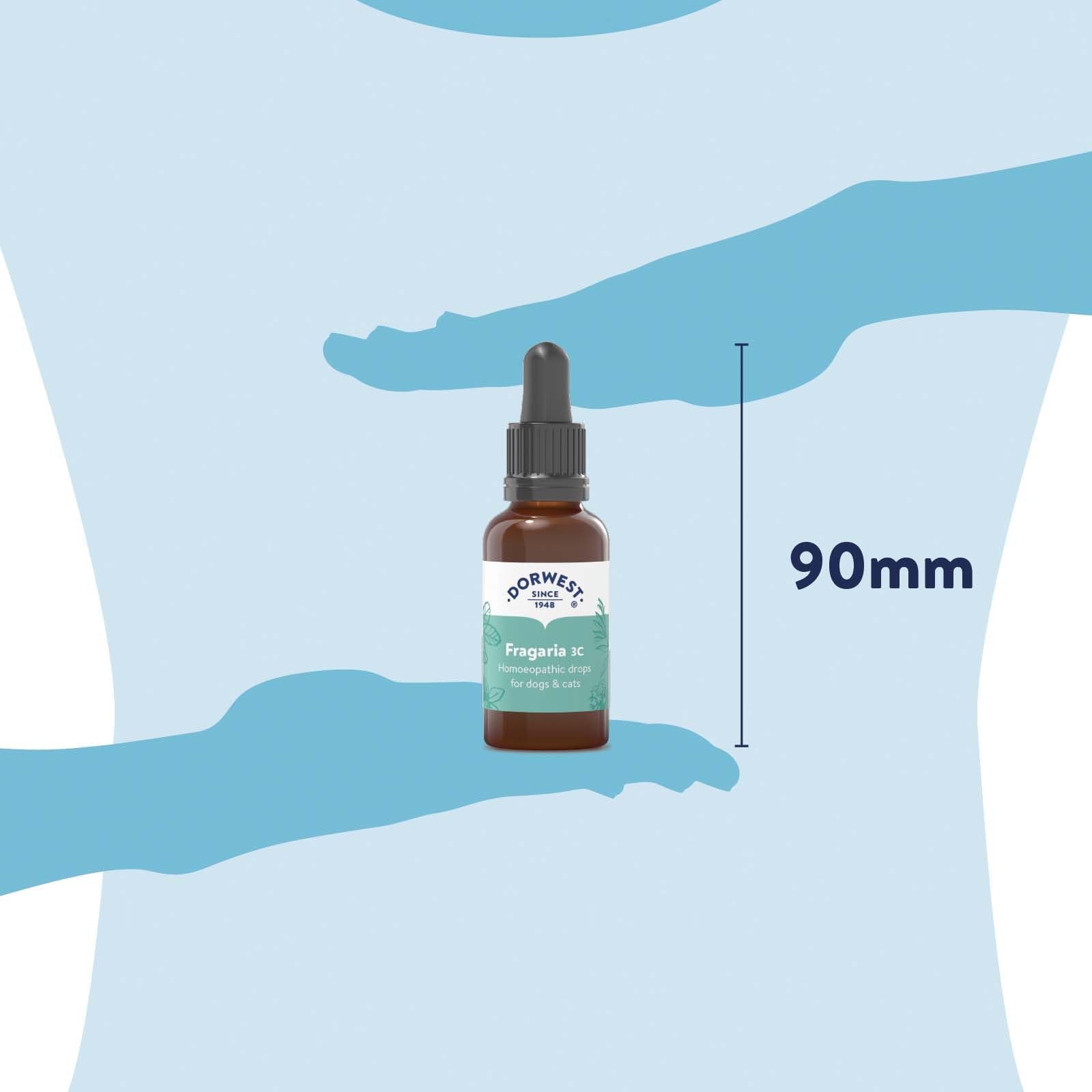 Dorwest Herbs Fragaria 3C Homoeopathic Liquid Remedy for Dogs & Cats - 15ml 4