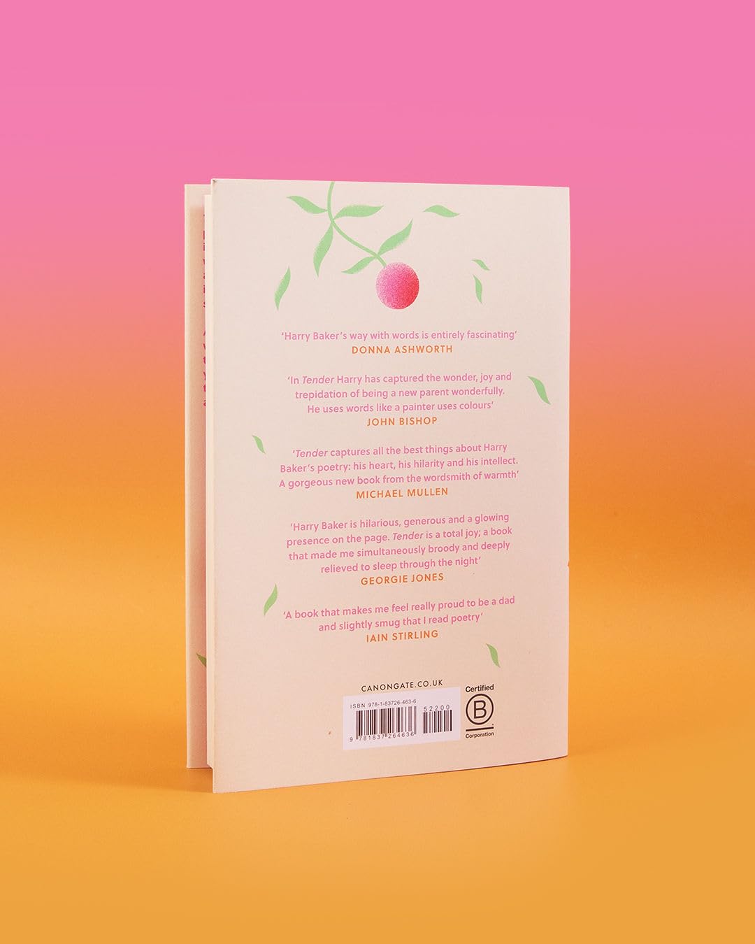 Harry Baker - Tender | Hardcover Book