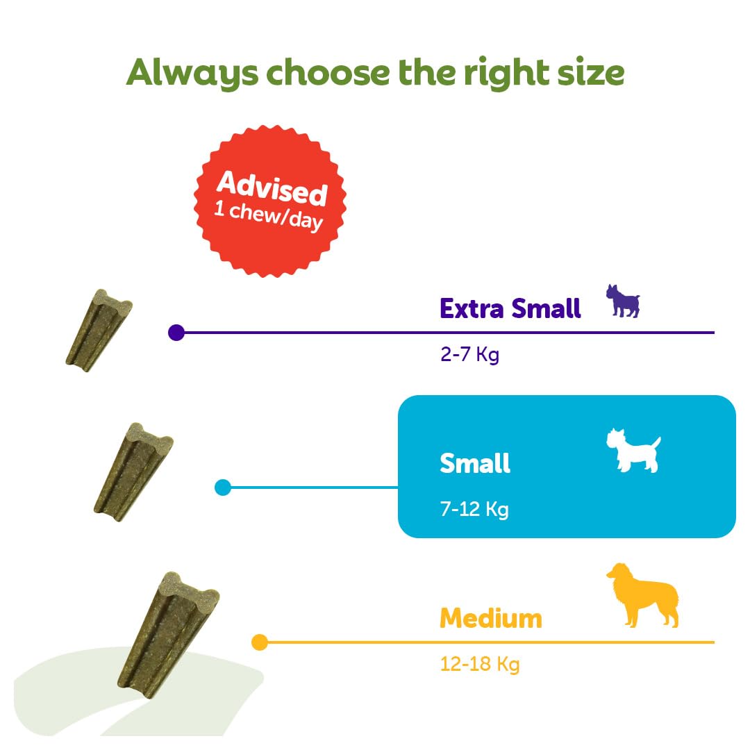 WHIMZEES Softer Dog Dental Stix - Size S, 28 Count | 35% Softer Chews for Seniors | Parsley Flavored 7