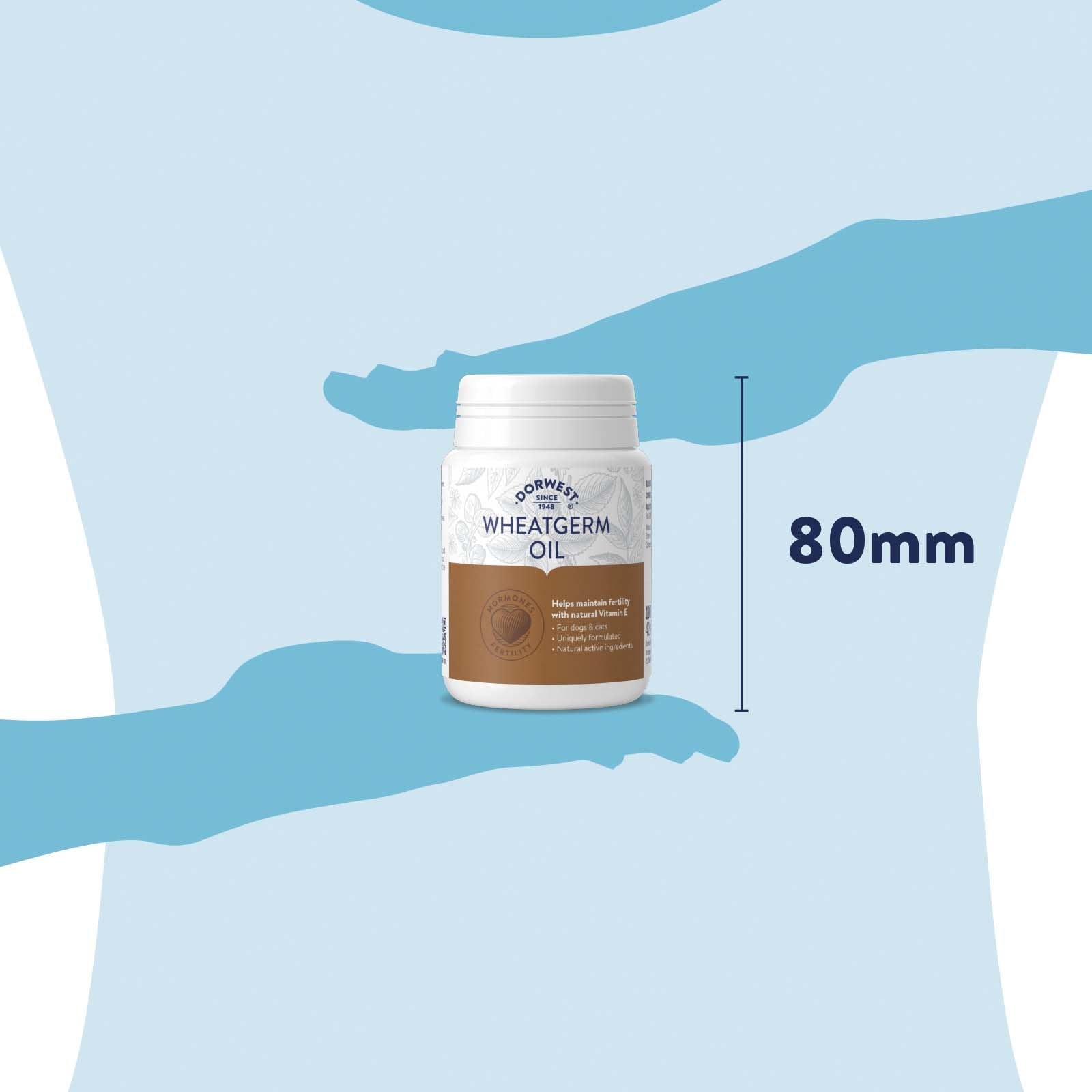 DORWEST HERBS Wheatgerm Oil Capsules for Dogs and Cats - Natural Vitamin E Source | 100 Capsules