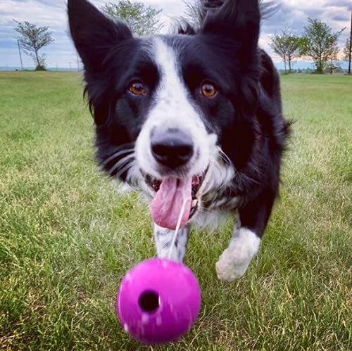 Chew King Extremely Durable Natural Rubber Fetch Balls - 3 Inch, 3 Count 7