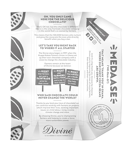 Divine - 70% dunkle Schokolade mit Himbeeren Riegel (90 g) 7