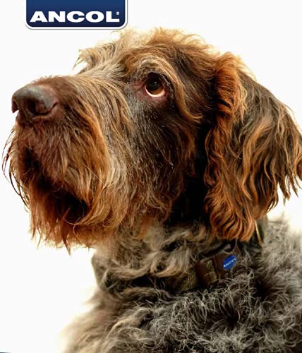 Ancol Country Check Adjustable Dog Collar - Brown Nylon | Fits Neck 30-50cm 4