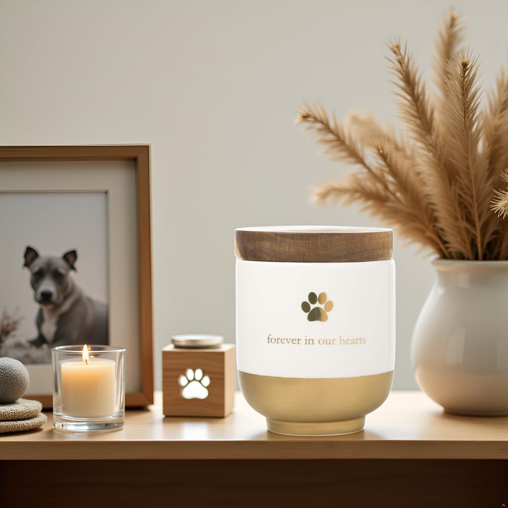 Pearhead Pet Ceramic Forever in Our Hearts Urn | Gold Accent | Fits Pets up to 45lbs 8