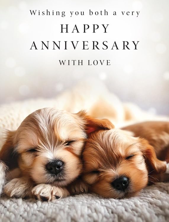 Piccadilly Greetings Anniversary Card - Pastel, 8 x 6 Size | High Quality UK Made
