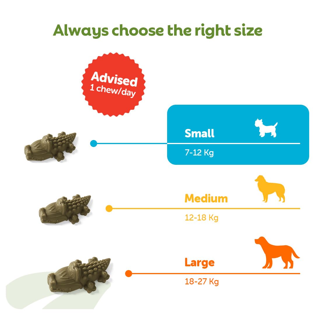 WHIMZEES Alligator Dental Sticks for Small Dogs (7-12kg) - 24 Count | Reduces Plaque by 80% | Vegetarian 4