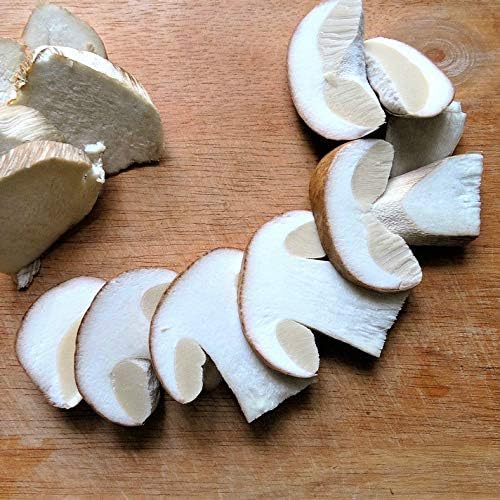 KitchenCraft Wooden Mushroom Brush - Cleaning Tool for Fresh Mushrooms