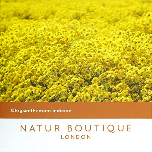 Natur Boutique Chrysanthemum Tea - 20 Unbleached Sachets | Caffeine Free Herbal Tea