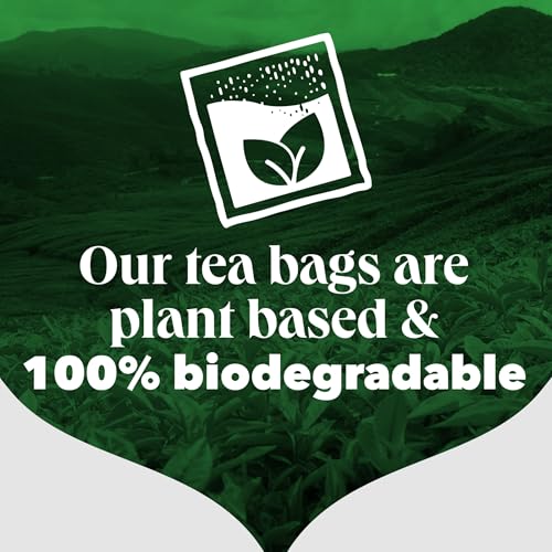 PG Tips - Earl Grey Individually Wrapped Tea Bags, 150 Enveloped Flavoured Black Tea 16