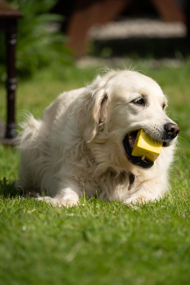 Petface Fondant Fancy Latex Dog Toy - Built-in Squeaker | Soft Chew | Yellow 4