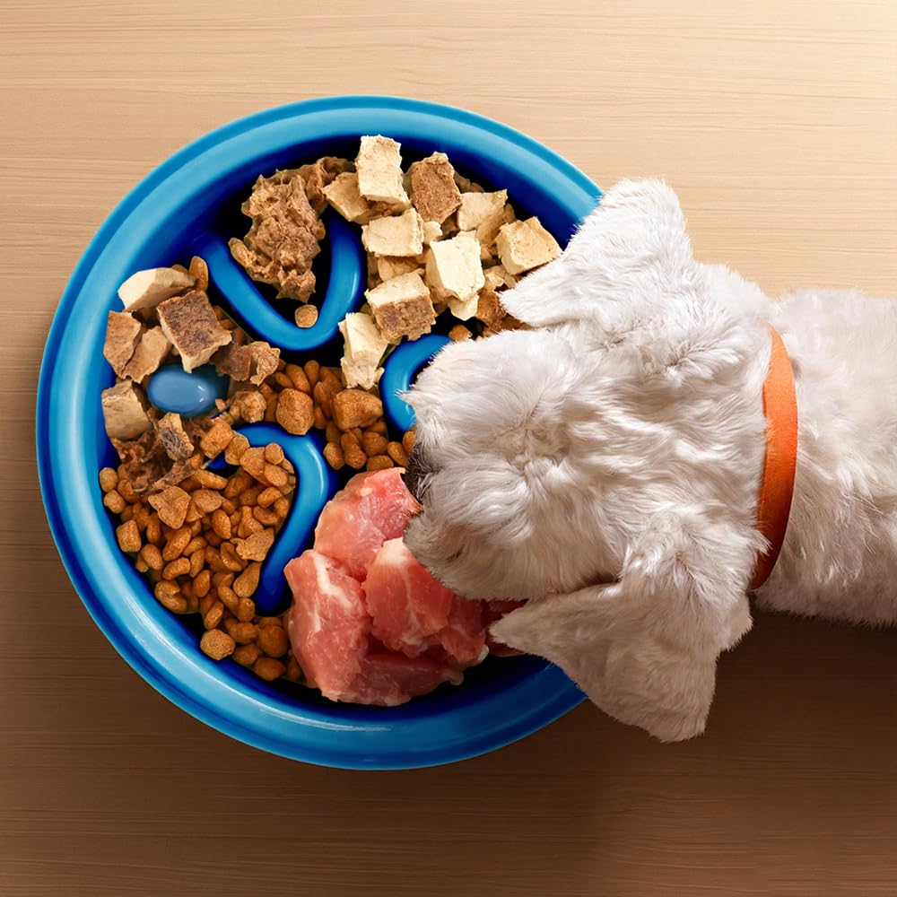 Woobroo Slow Feeder Dog Bowl - Anti-Choking Puzzle Feeder for Small, Medium, Large Breeds | Blue 8