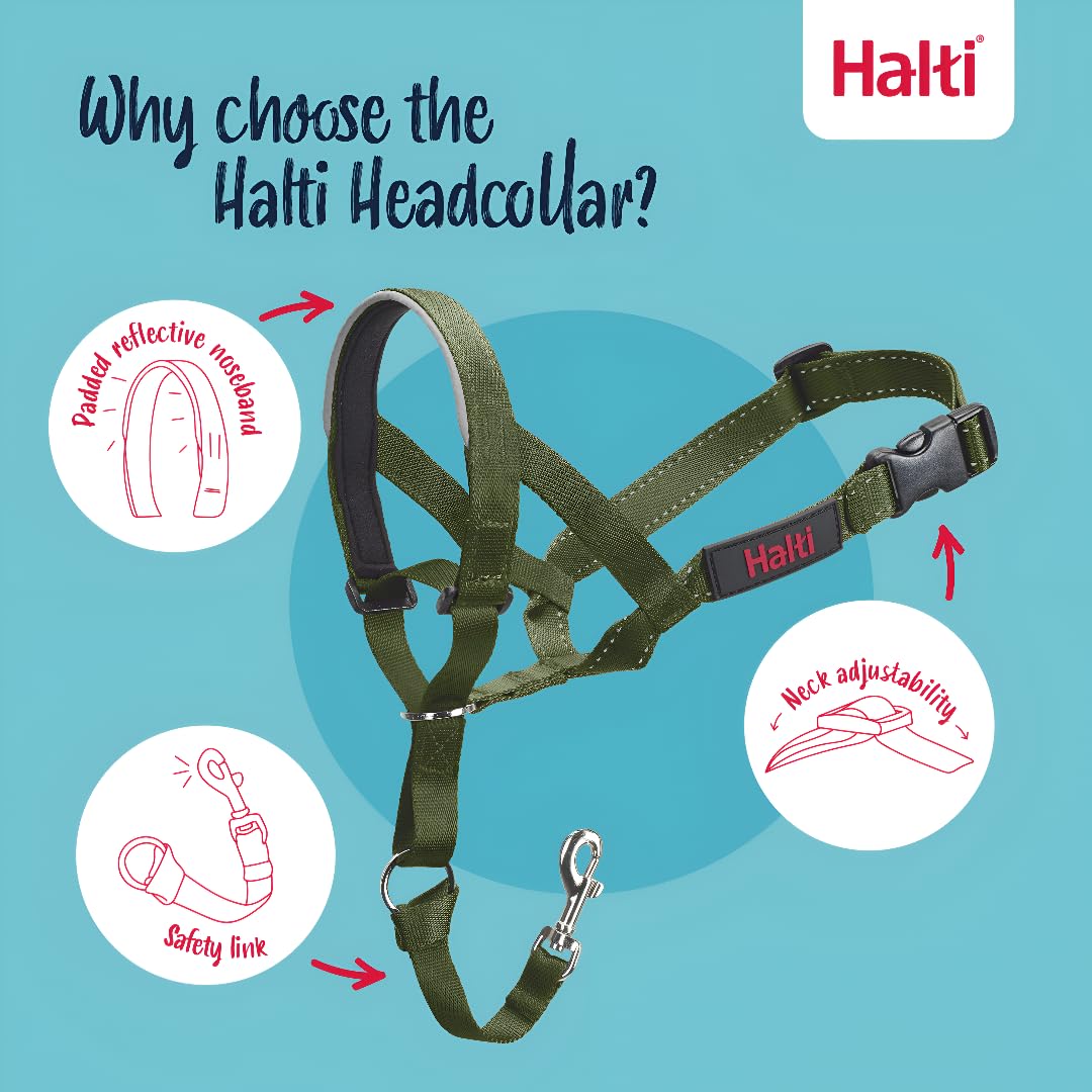 Halti Headcollar - Stops Pulling for Medium Dogs | Size 2, Forest Green, Reflective 3