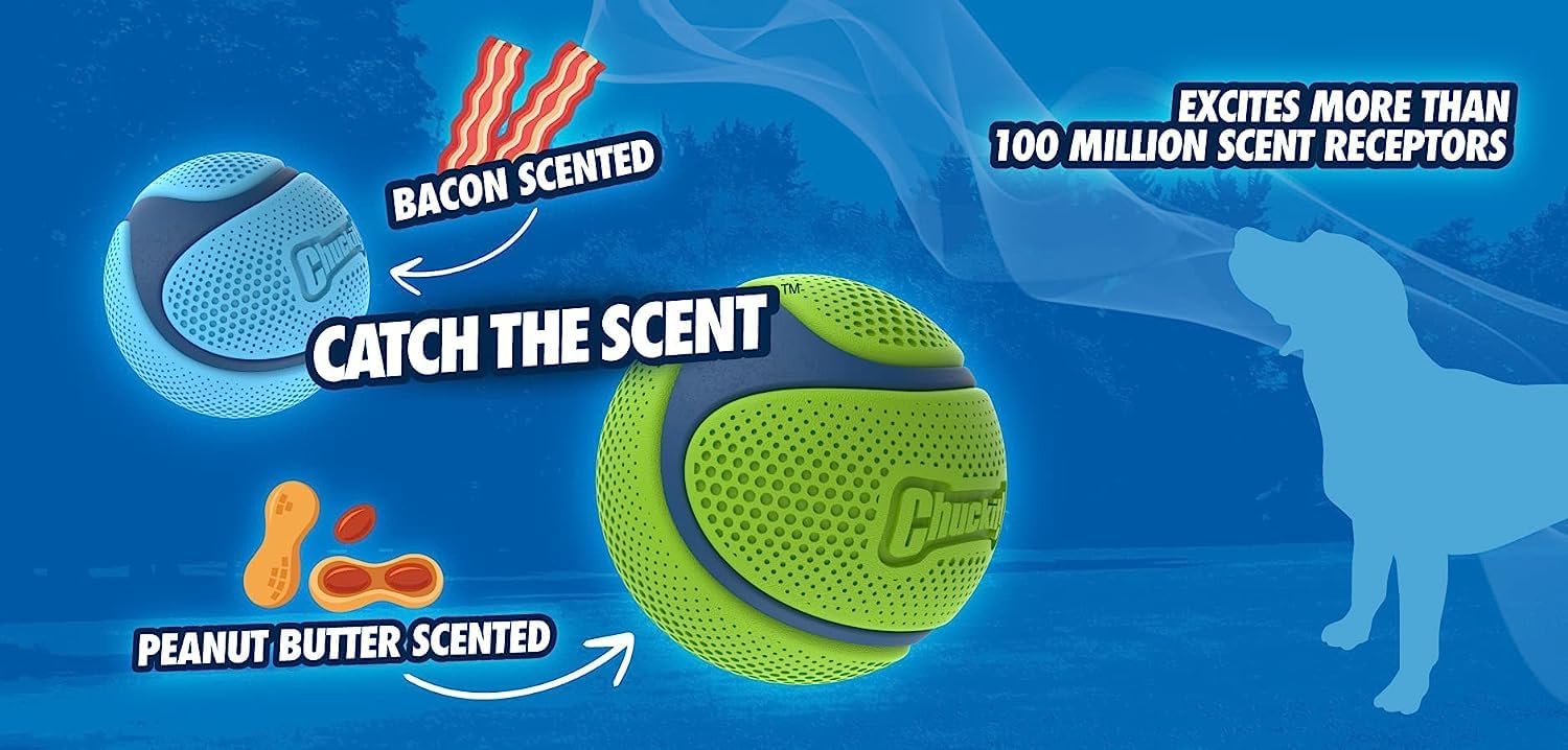 Chuckit! Sniff Duo Scented Dog Fetch Balls - Peanut Butter & Bacon Scent, 2-Pack, Durable Rubber 4