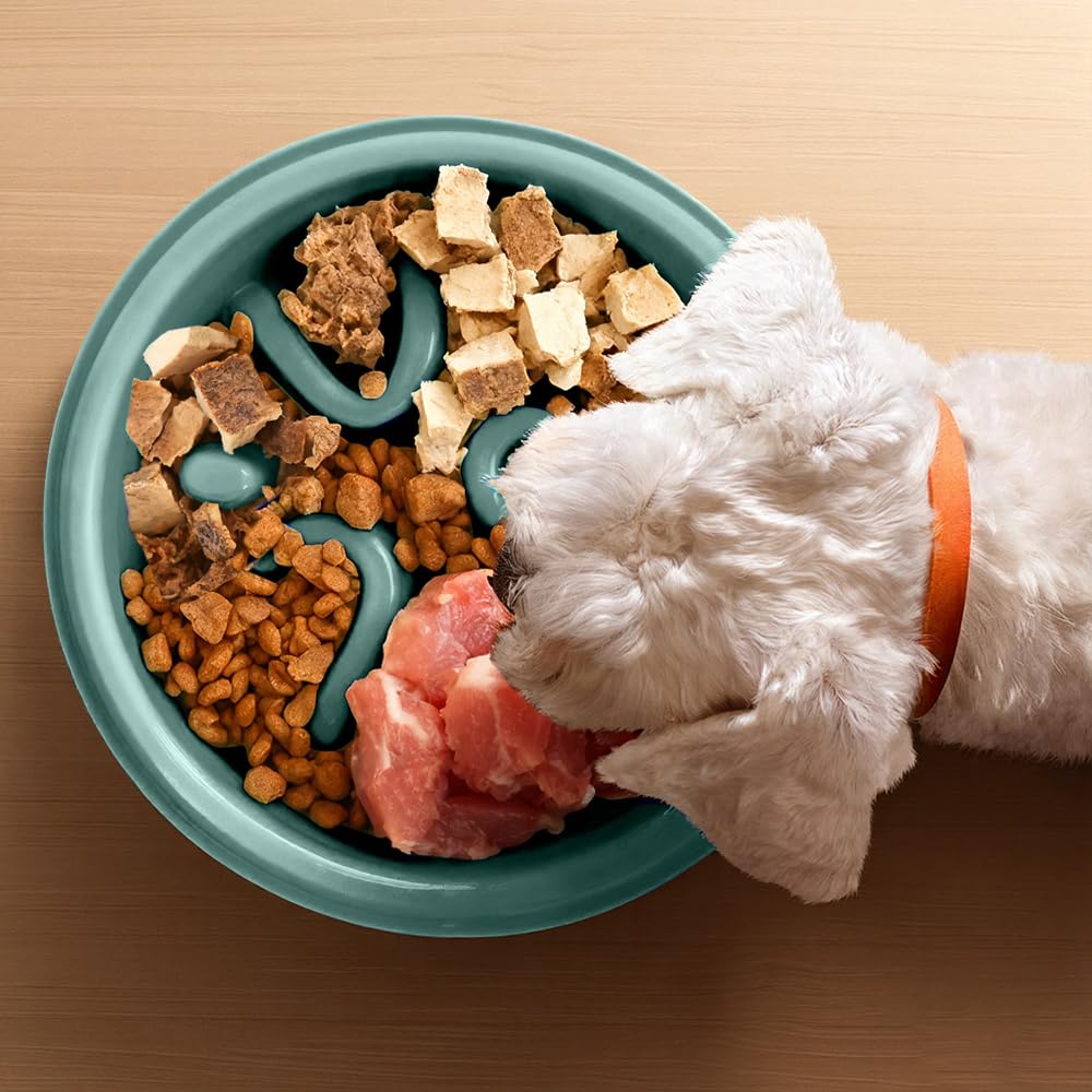 Woobroo Slow Feeder Dog Bowl - Anti-Choking Puzzle Feeder for Small, Medium, Large Breeds 8