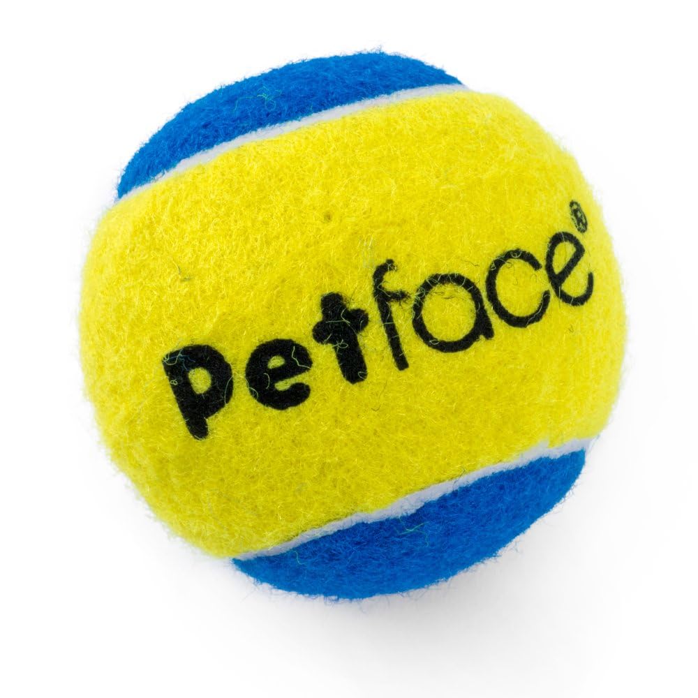 Petface Squeaky Tennis Balls for Dogs - Pack of 3 | Natural Rubber | All Breeds 5