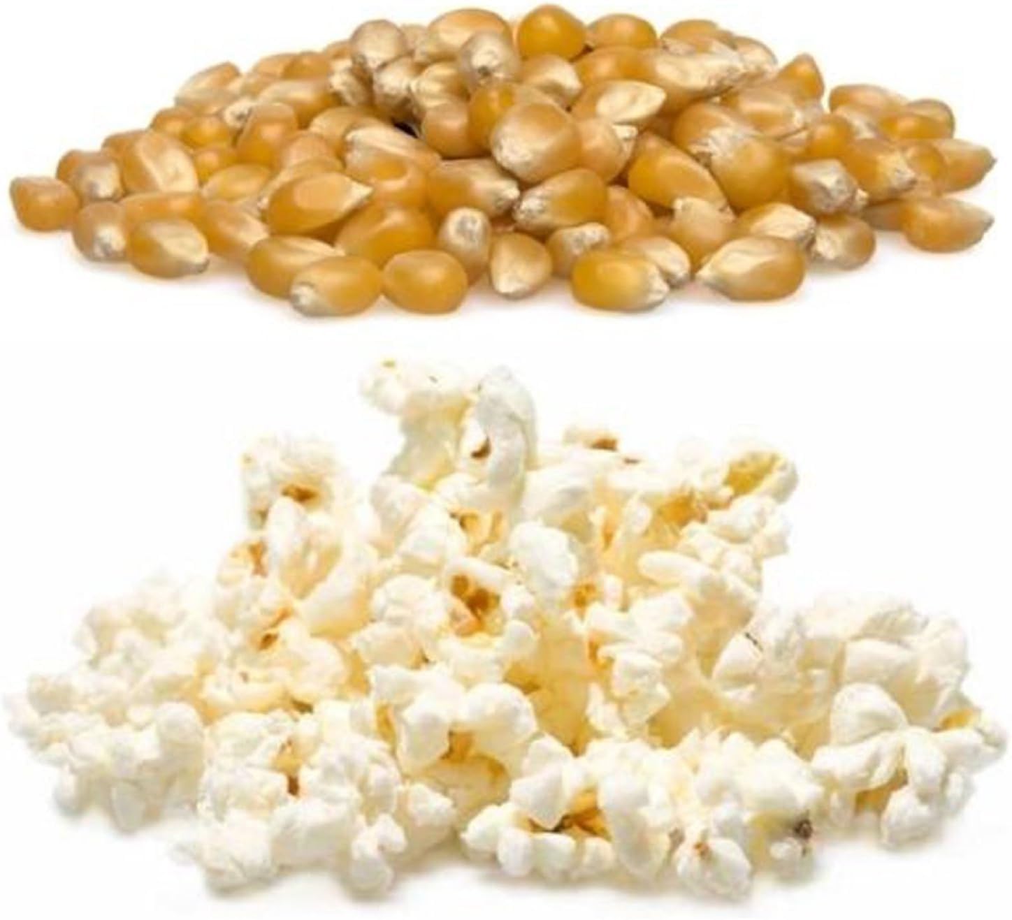 Seba Garden Popcorn Kernels - High Fibre, GMO Free | 1 kg Resealable Pouch 5