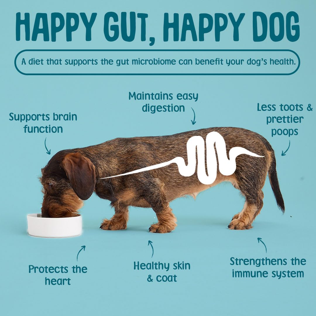 Scrumbles Gnashers Daily Dental Sticks for Dogs - Reduces Tartar by 80% | Grain Free Veggie | 7 Sticks 6