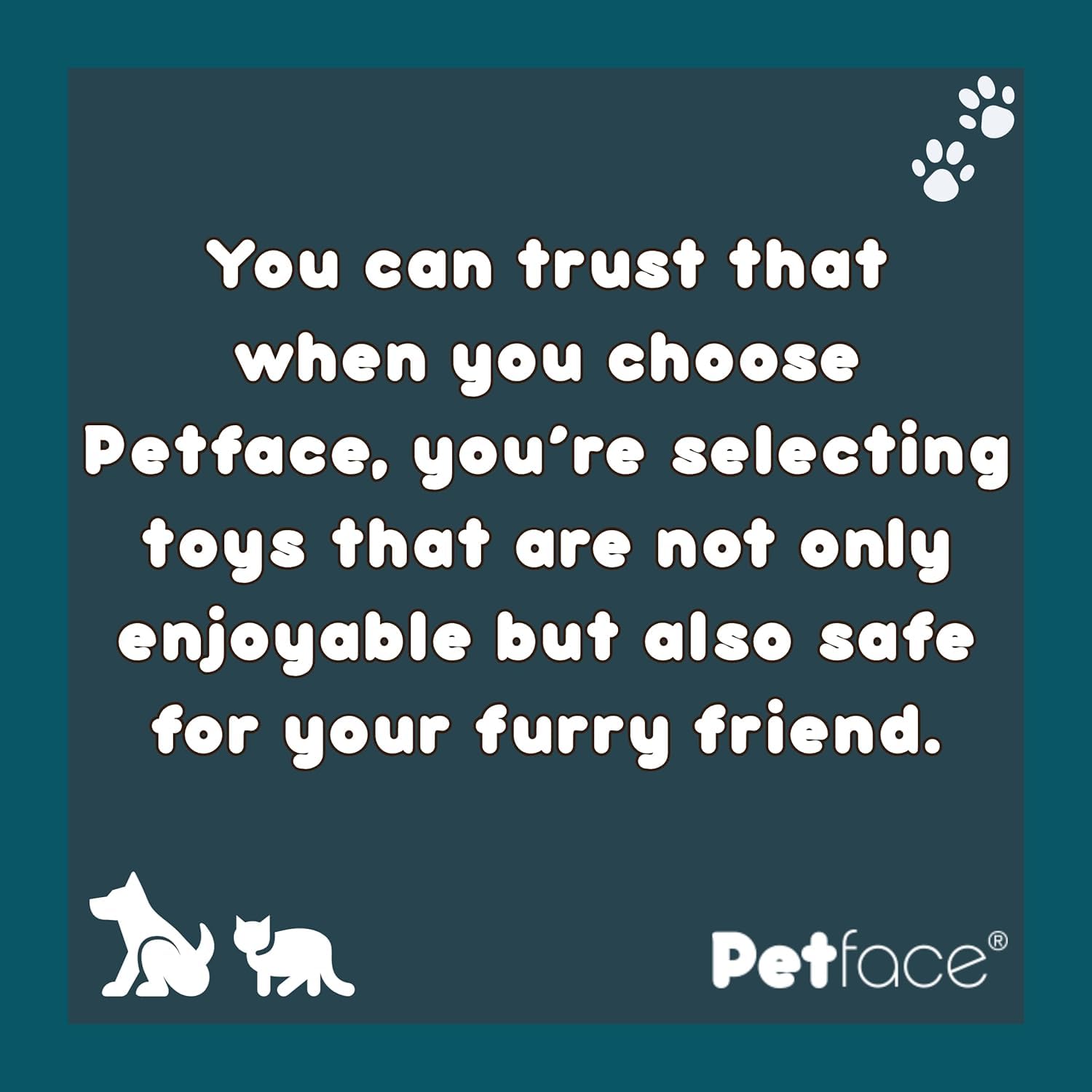 Petface Small Orange Latex Chew Toy - Durable Material | Built-in Squeaker | Lightweight 6