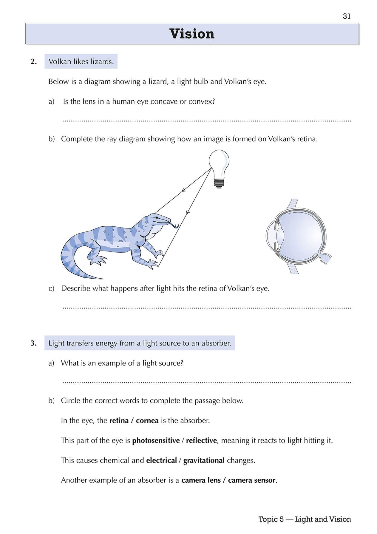 CGP KS3 Science Year 8 Targeted Workbook - Catch Up Support | Paperback | English 6