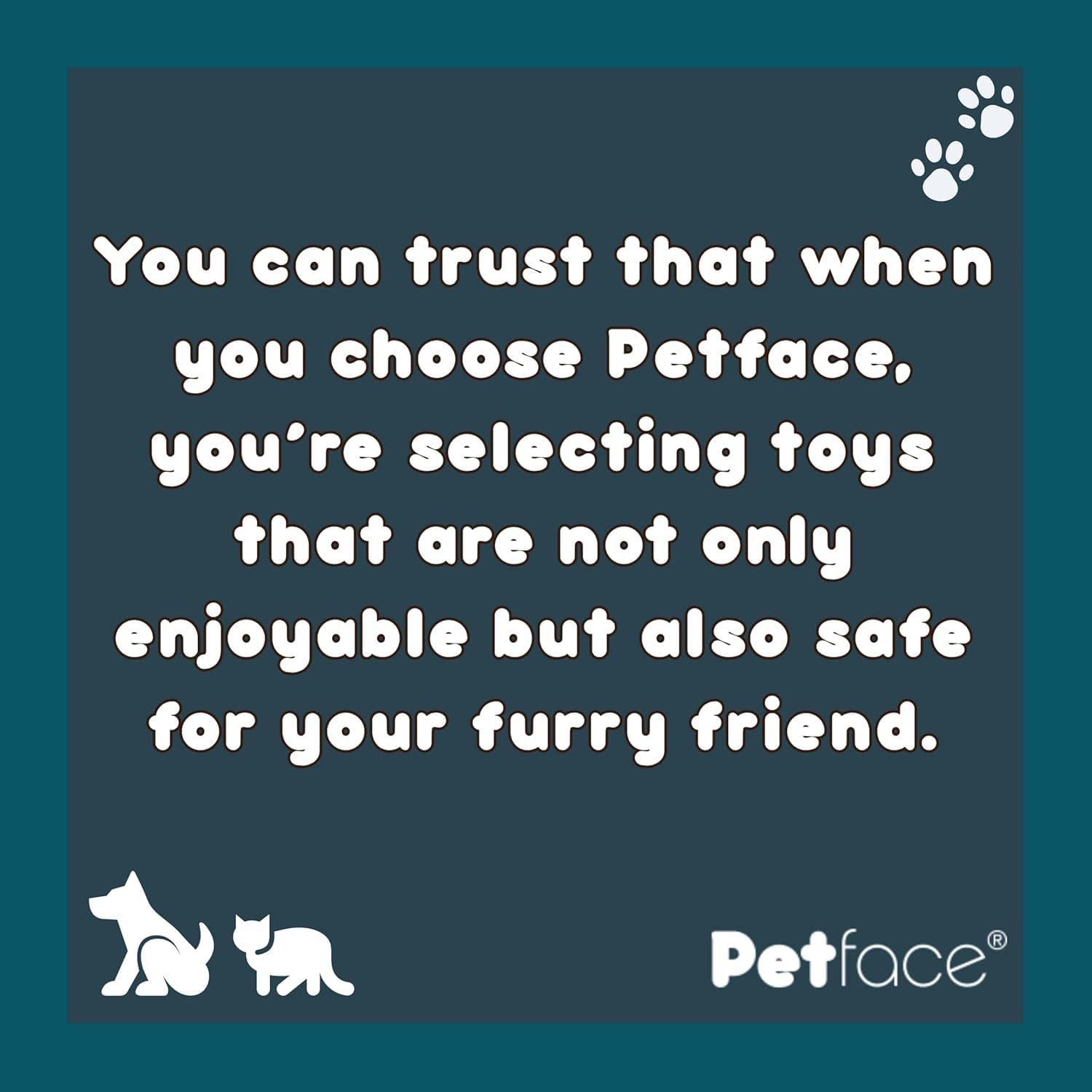 Petface Squeaky Tennis Balls for Dogs - Pack of 3 | Natural Rubber | All Breeds 6