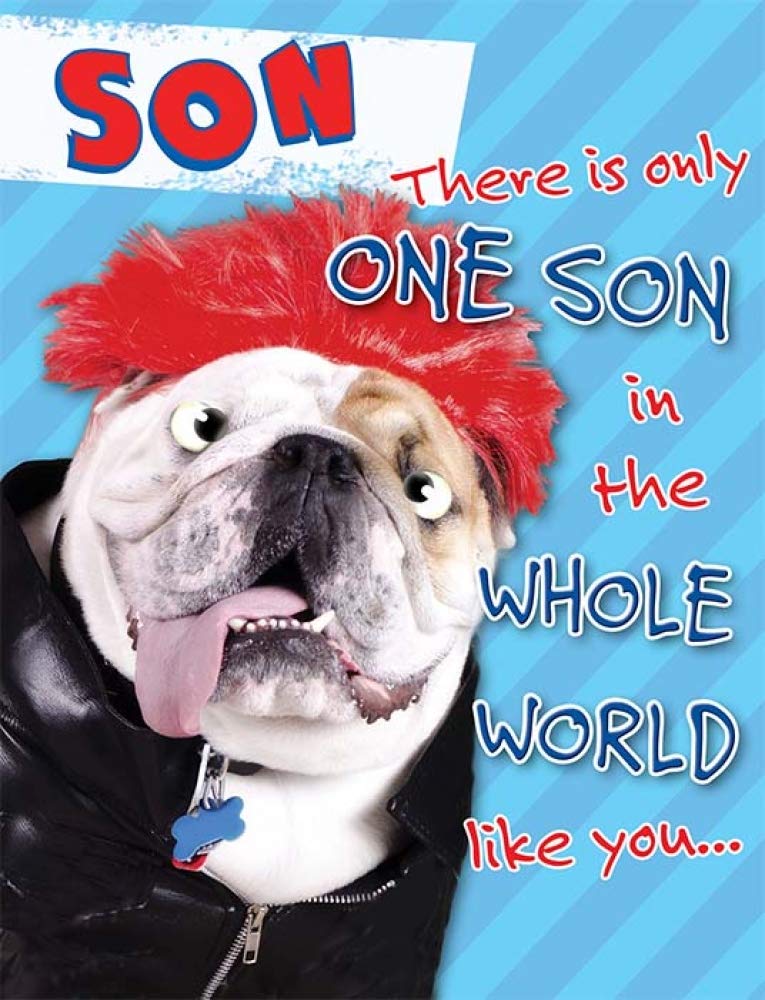 Piccadilly Greetings Humour Birthday Card for Son | 8 x 6 Inches | Bulldog Punk Design