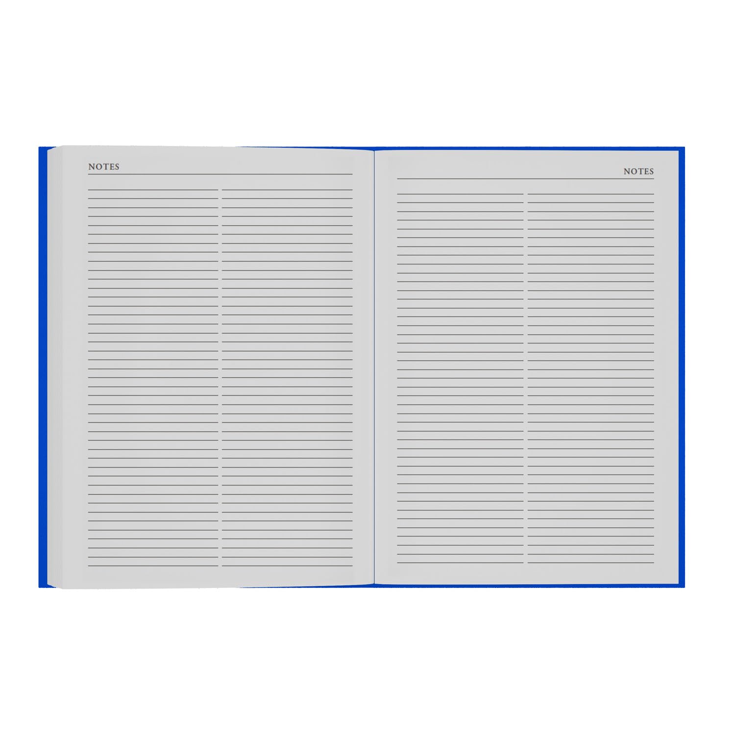 Collins 2026-2027 Academic Year Appointment Book - A4 Week-to-View Organizer | Hourly Slots 8am-7pm 3