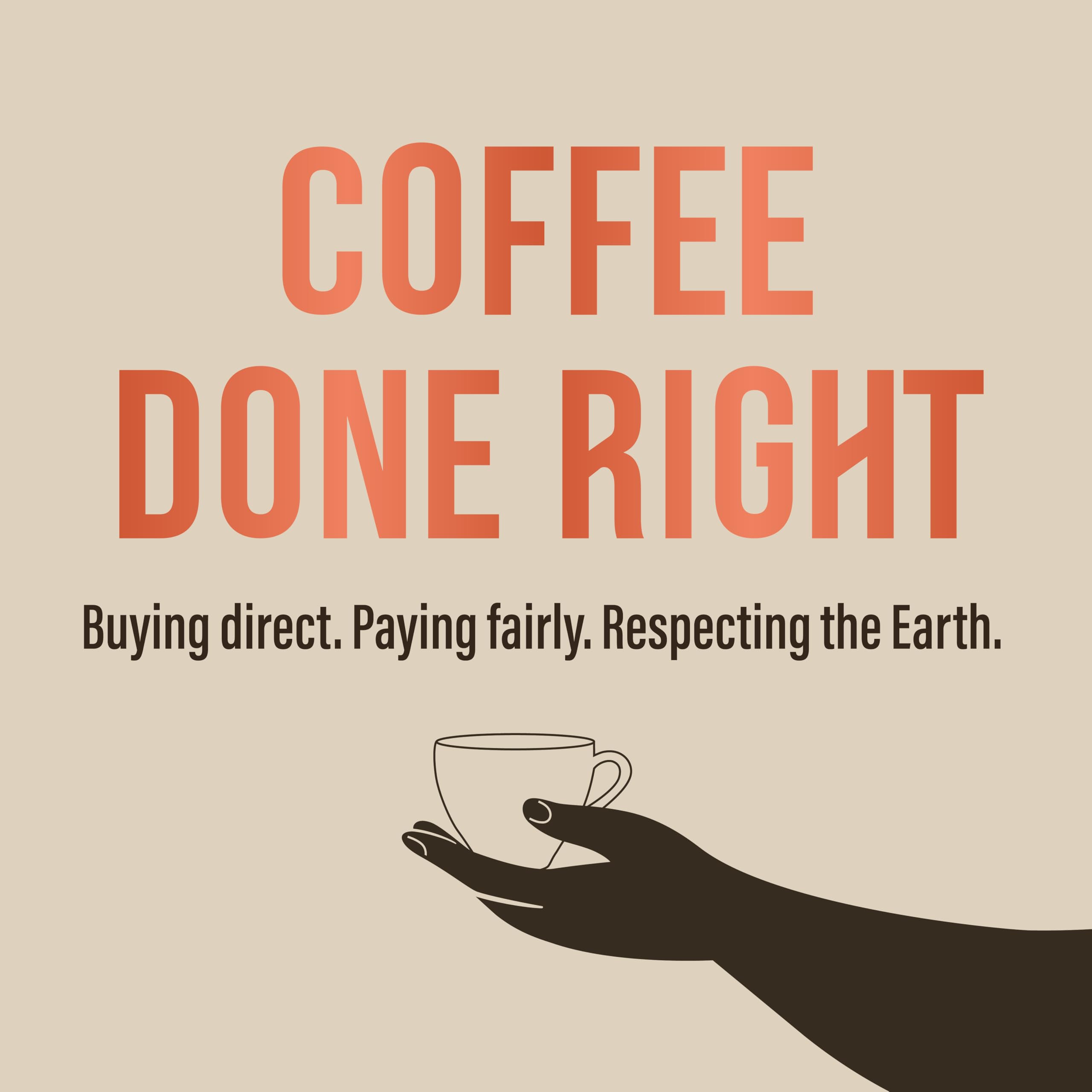 Café Direct Mayan Gold Organic Whole Coffee Beans - Dark Roast, Caramel Notes | 200g Pack of 6 7