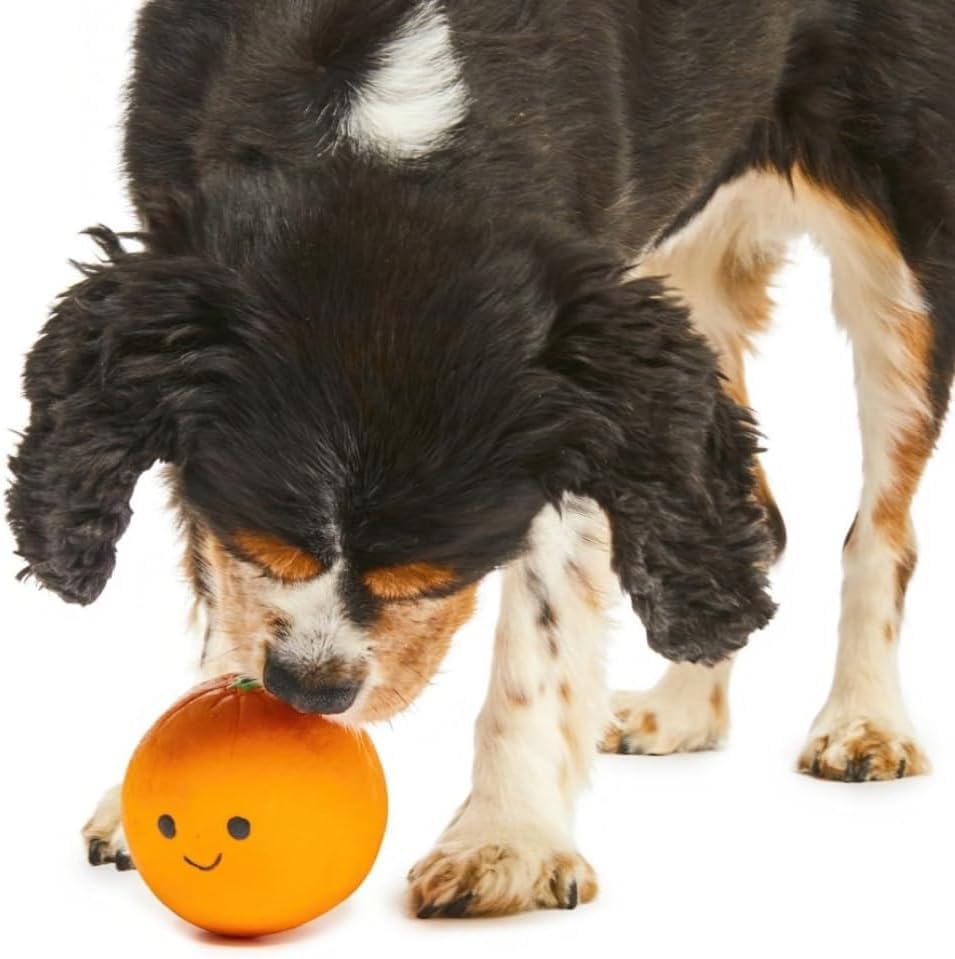 Petface Small Orange Latex Chew Toy - Durable Material | Built-in Squeaker | Lightweight