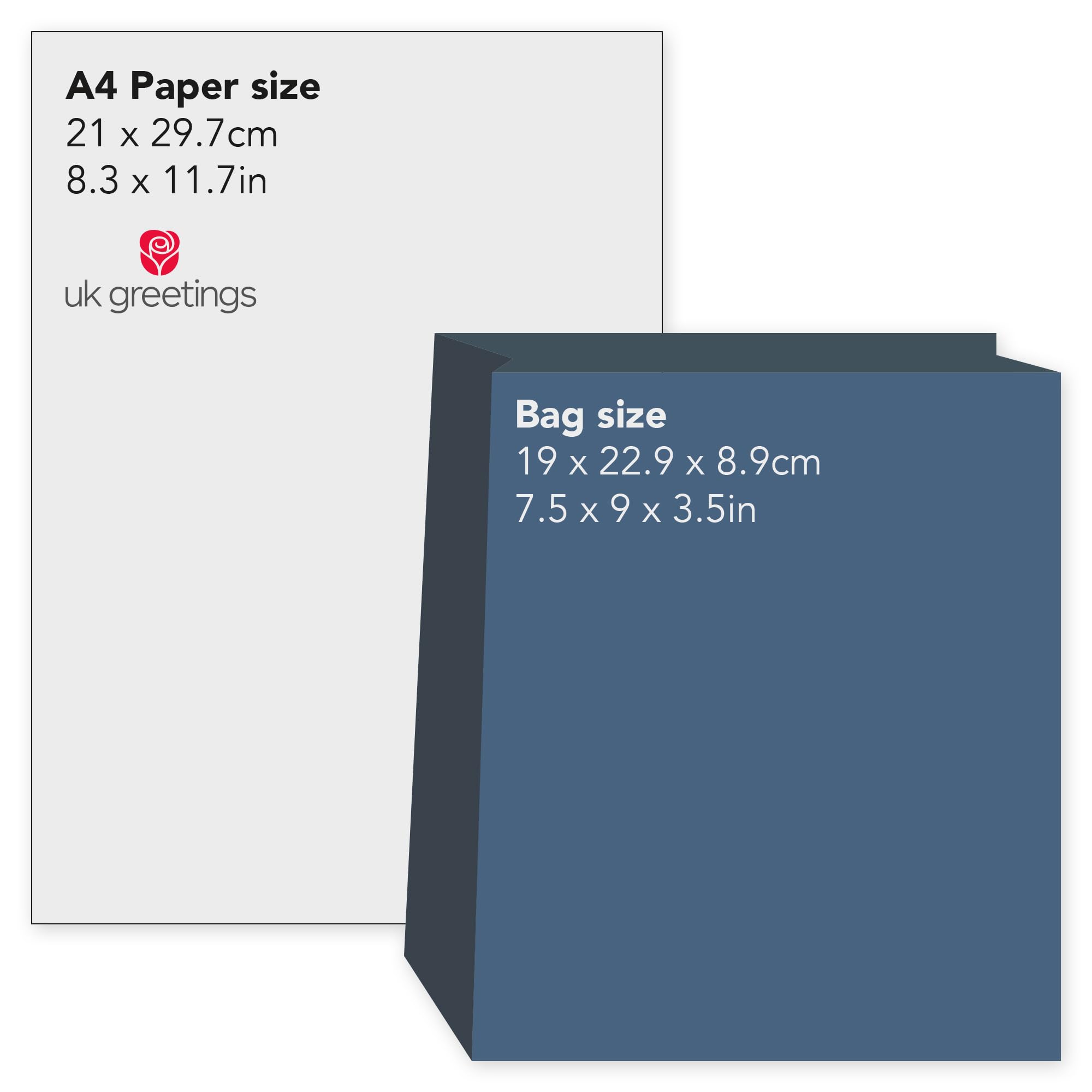 UK Greetings Celebratory Balloon Gift Bag for Her | Medium Size | Foil Finish | 19cm x 22.9cm x 8.9cm 6
