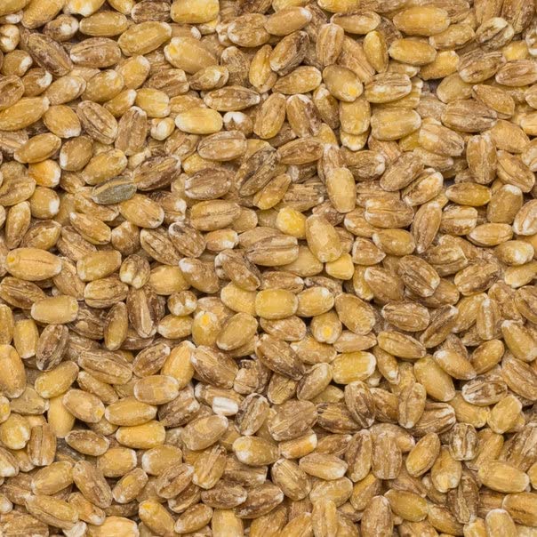Wholefood Earth Pearl Barley - 1kg Bag | High Fibre | GMO Free 4