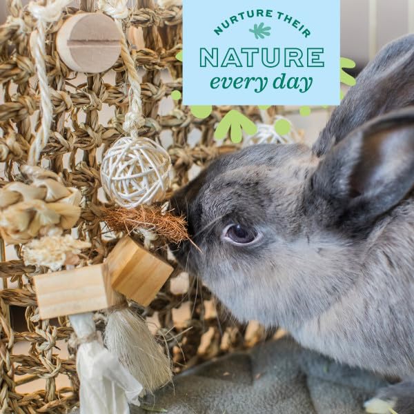 Oxbow Enriched Life Play Wall Small for Small Animals | Supports Chewing & Exploration 4