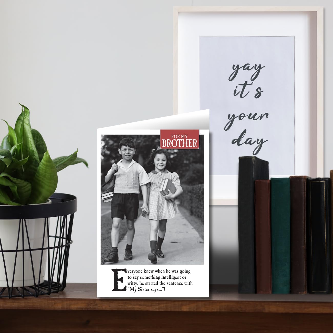 Emotional Rescue Funny Brother Birthday Card from Sister | 15.9 x 23.5 cm | B&W Humor 3