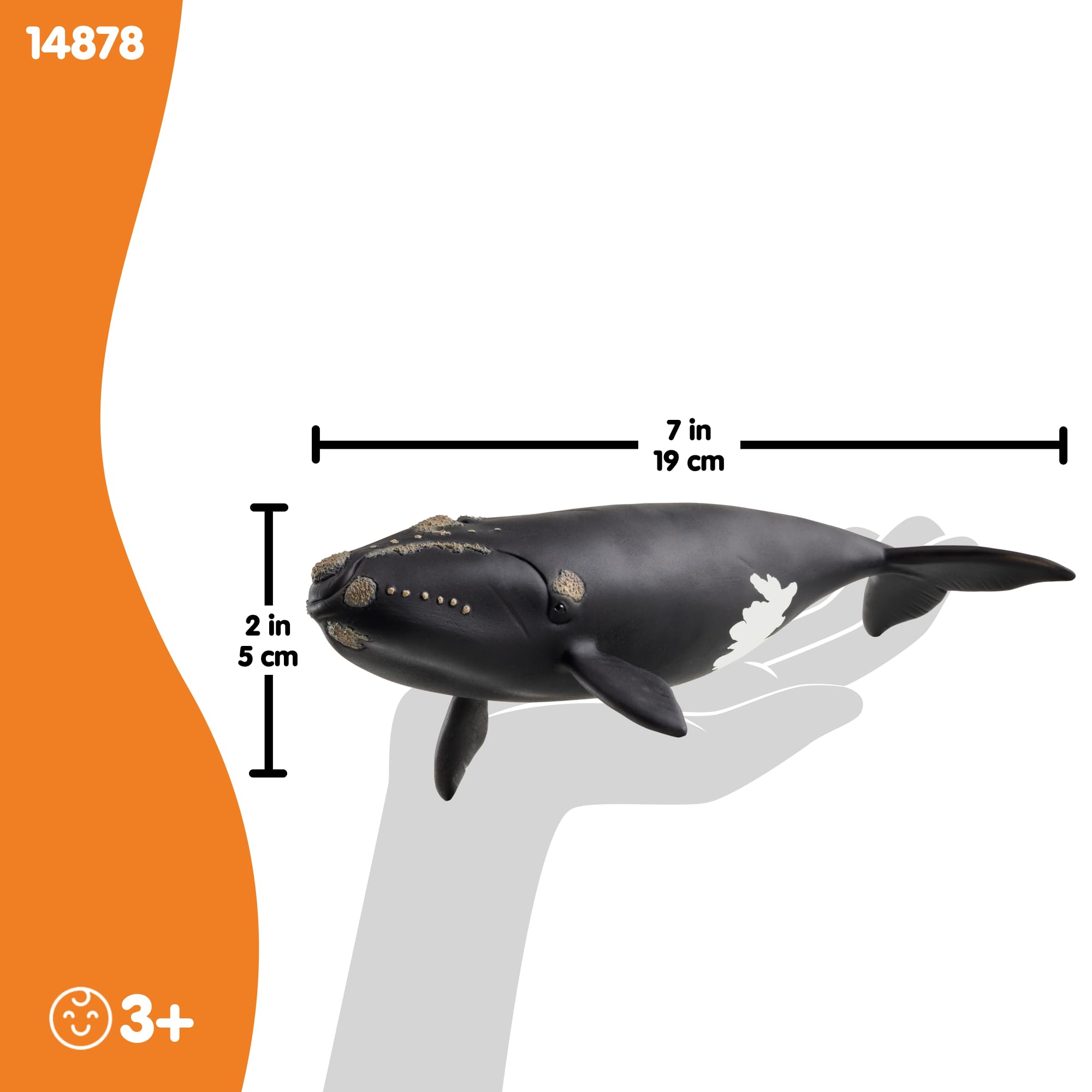 Schleich WILD LIFE North Atlantic Right Whale Figurine 19cm Plastic Model 14878 5