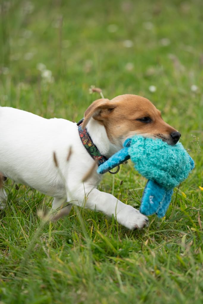 Petface Talulah Turtle Plush Dog Toy with Squeaker | Polyester | Blue/Green 6