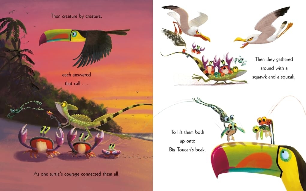 Orchard Books The Turtle Who Turned the Tide - Part of The World of Rachel Bright & Jim Field Series | Paperback 5