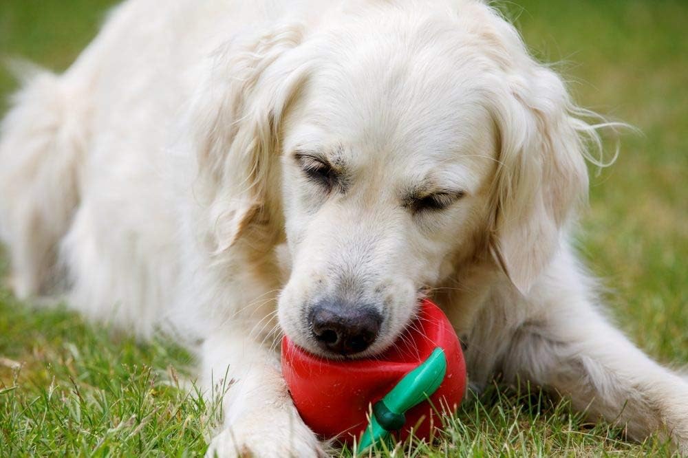 Petface Latex Tomato Soft Chew Dog Toy - Squeaky Fun | Durable Latex | Large Size